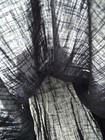 Bild 6 von 9