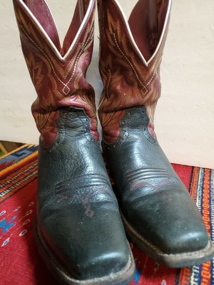 ariat boots style 34824