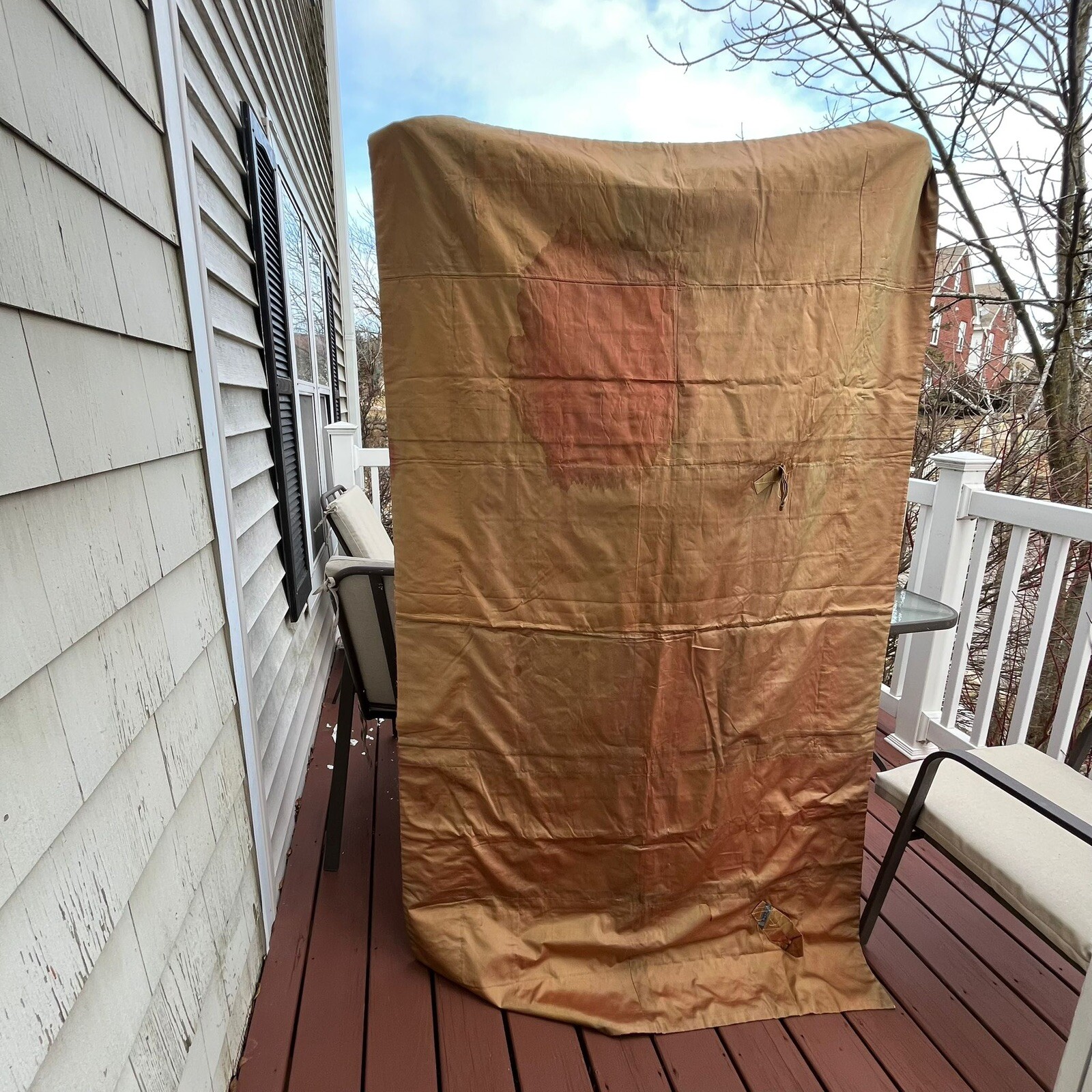Picture 3 of 20