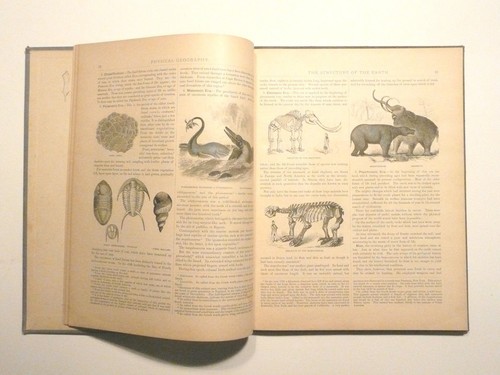 1887 BUTLER'S PHYSICAL GEOGRAPHY - 10x12 - GOOD CONDITION w/ COLOR MAPS - Picture 4 of 11