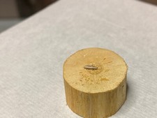 Waltham 4860 PocketWatch Balance Staff 16 size 1899 1908 '99 NOS square hub o25