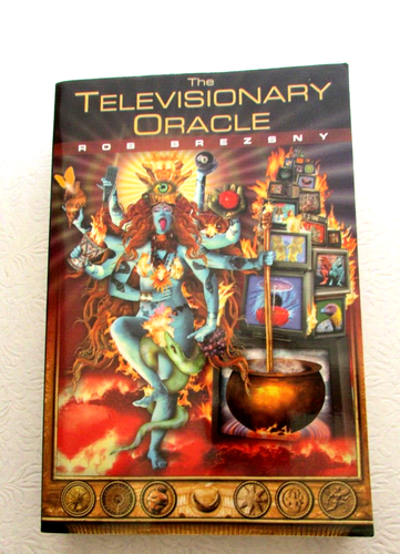 Televisionary Oracle Book by Brezsny, Rob PBK 2000 - 第 1/5 張圖片