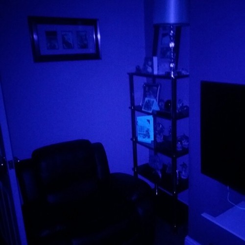 Fotocamera GoPro GoPro Luce Fantasma Ultravioletta Caccia Paranormale Grandangolo - Foto 12 di 24