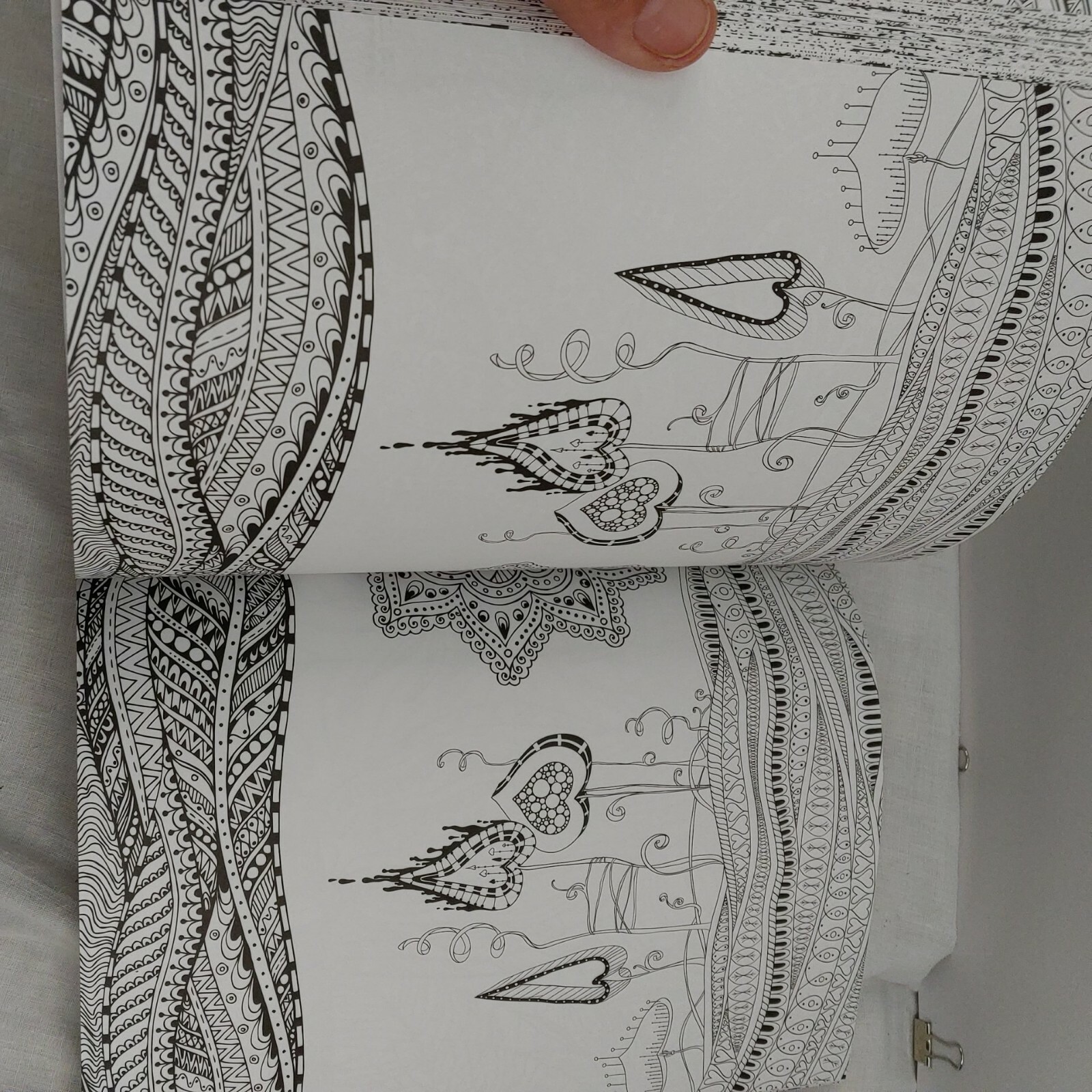Picture 6 of 12