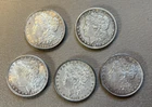 Morgan Silver Dollar Lot of 5 90% Silver