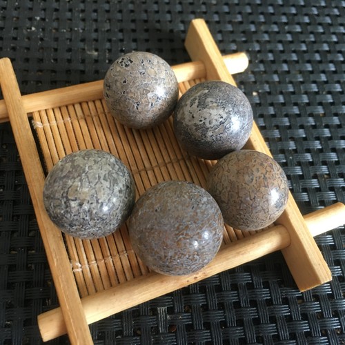 57g 5pcs Natural polished dinosaur bone crystal ball specimen pd2791 - Picture 2 of 8
