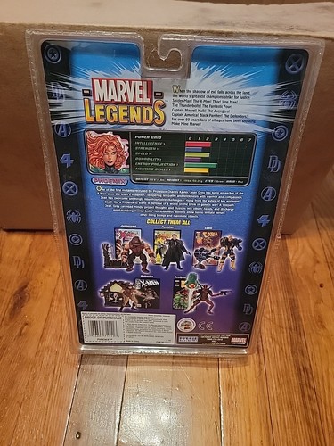 2004 Marvel Legends Jean Grey as Phoenix Series 6 VI - Bild 2 von 3