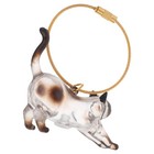 Transparent Cat Hair Storage Box Capsule Pet Hair Keepsake Keychain Organizer