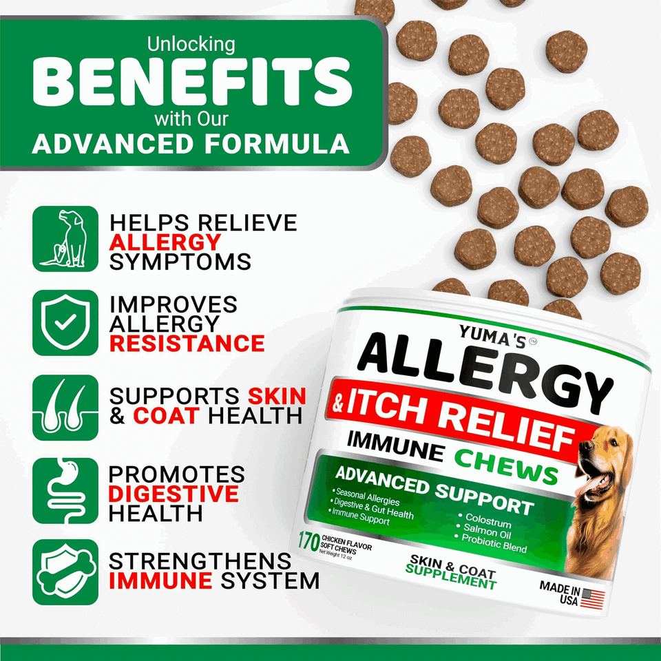 Dog Allergy Relief Chews Dog Itching Skin Relief Treatment Pills 170 ...
