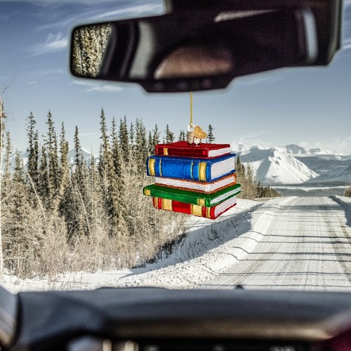 Book Lover Fun Reading Christmas Book Acrylic Ornament Xmas Hangs Gift  - Picture 5 of 7