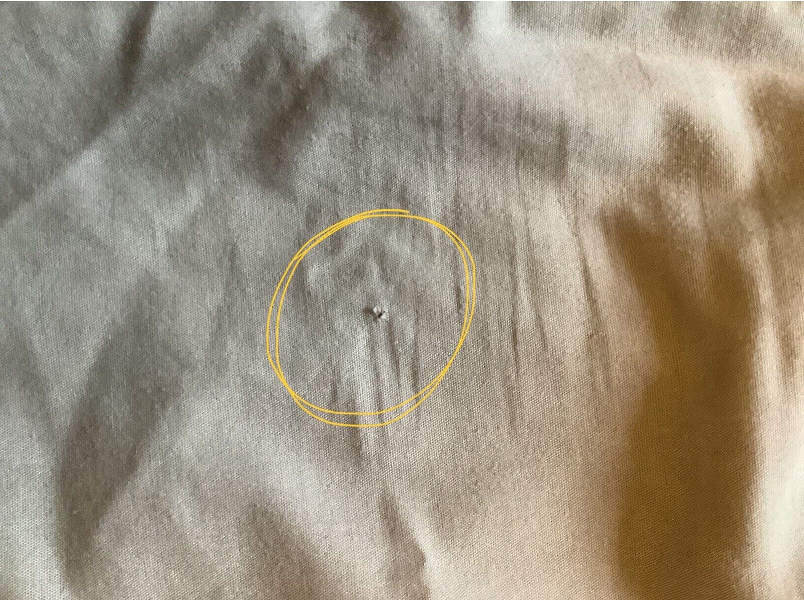 Picture 11 of 15
