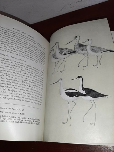 Louisiana Birds George Lowery 2nd Revised Edition Hardcover - Imagen 7 de 7