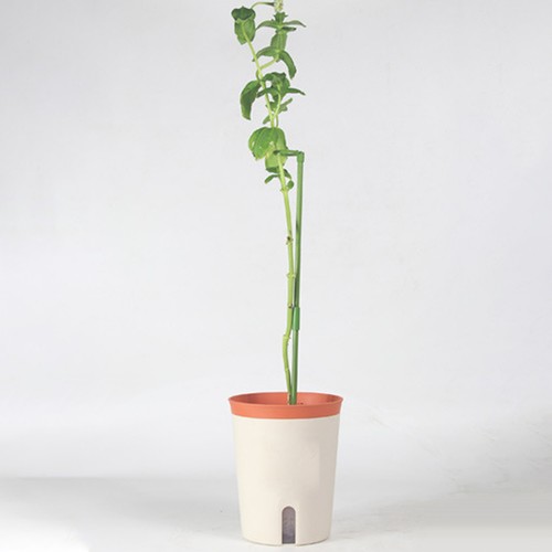 Plant Support Pole Long-lasting Wide Applications Weather-resistant Plant Stakes - Picture 5 of 14