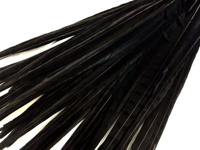 50 Feathers 18-22'' Black Long Ringneck Pheasant Tail Wholesale Halloween Costume