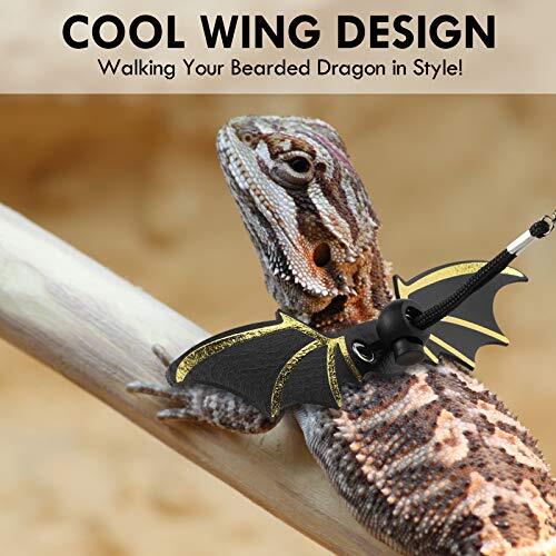 lizard leash leopard gecko