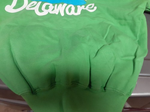 Felpa con cappuccio verde brillante Rehoboth Delaware 1873 XL-Basix of America - Foto 8 di 8
