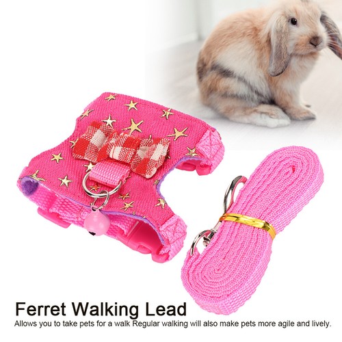 Squirrel Chest Strap Comfortable Leash Set For Active Small Pets EUY