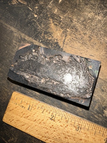 Printing Block ( Beaver Woodchuck Groundhog ??) Copper Face Nice Image! - Picture 2 of 12