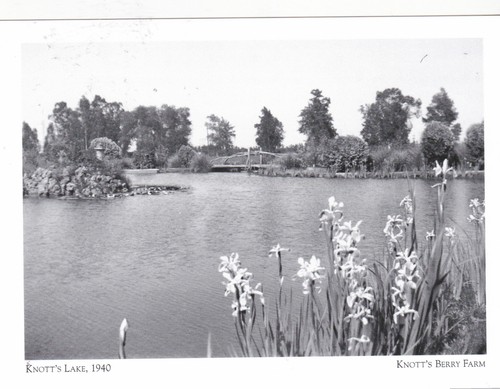 *Postcard-"Knott's Lake, 1940" @ Knotts Berry Farm {C47}- - 第 1/2 張圖片