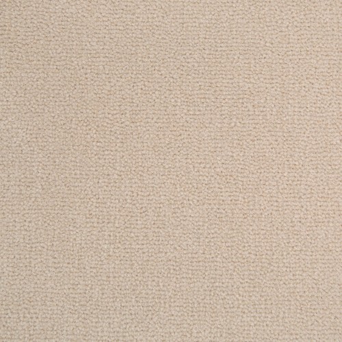 Westex Westend Velvet Prestige Champagne Carpet Remnant 2.3m x 5.0m (s38712) - Picture 2 of 3