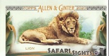 2020 Topps Allen and Ginter Mini Safari Sights #SS7 Lion - BB