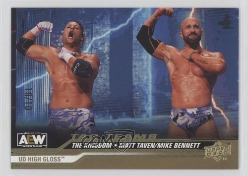 2024 AEW All Elite Wrestling Tag Teams High Gloss /10 Matt Taven Rookie Patch RC