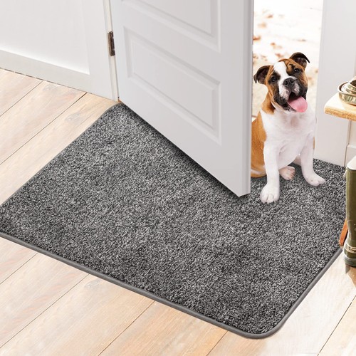 Walensee Indoor Doormat, Front Door Mat for Entrance (32"x48" Grey) Machine W... - Imagen 1 de 7