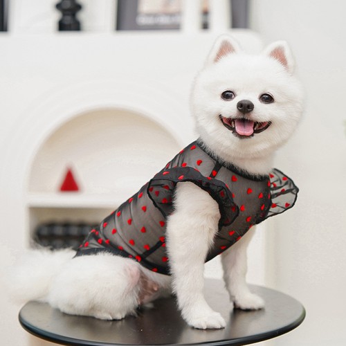 Pet Clothing Dog Heart Printed T-Shirt Tee Shirts for Large Small Dogs Summer # - Picture 14 of 24