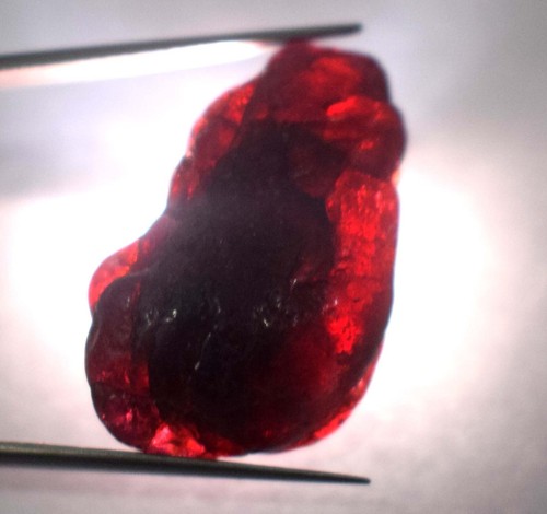 41,35 ct natürlicher rotbrauner Painit 25 x 16 mm Edelstein grob zertifiziert E2877 - Bild 6 von 8