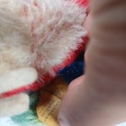 Picture 8 of 9