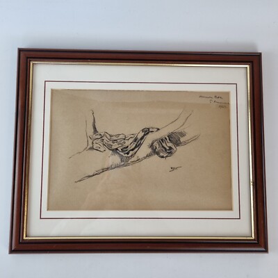 Raymond John Vandenbergh Pencil Study Common Boa Snake South America Initialed