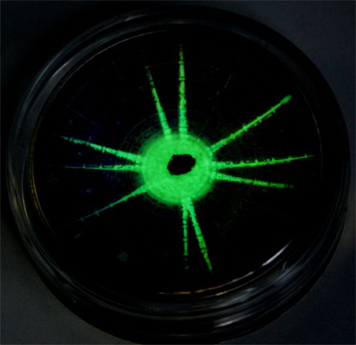 Niue, Universe BIG BANG, DOME coin, 2019, 2oz Silver, $5 - Picture 9 of 9