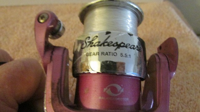 Picture 7 of 10