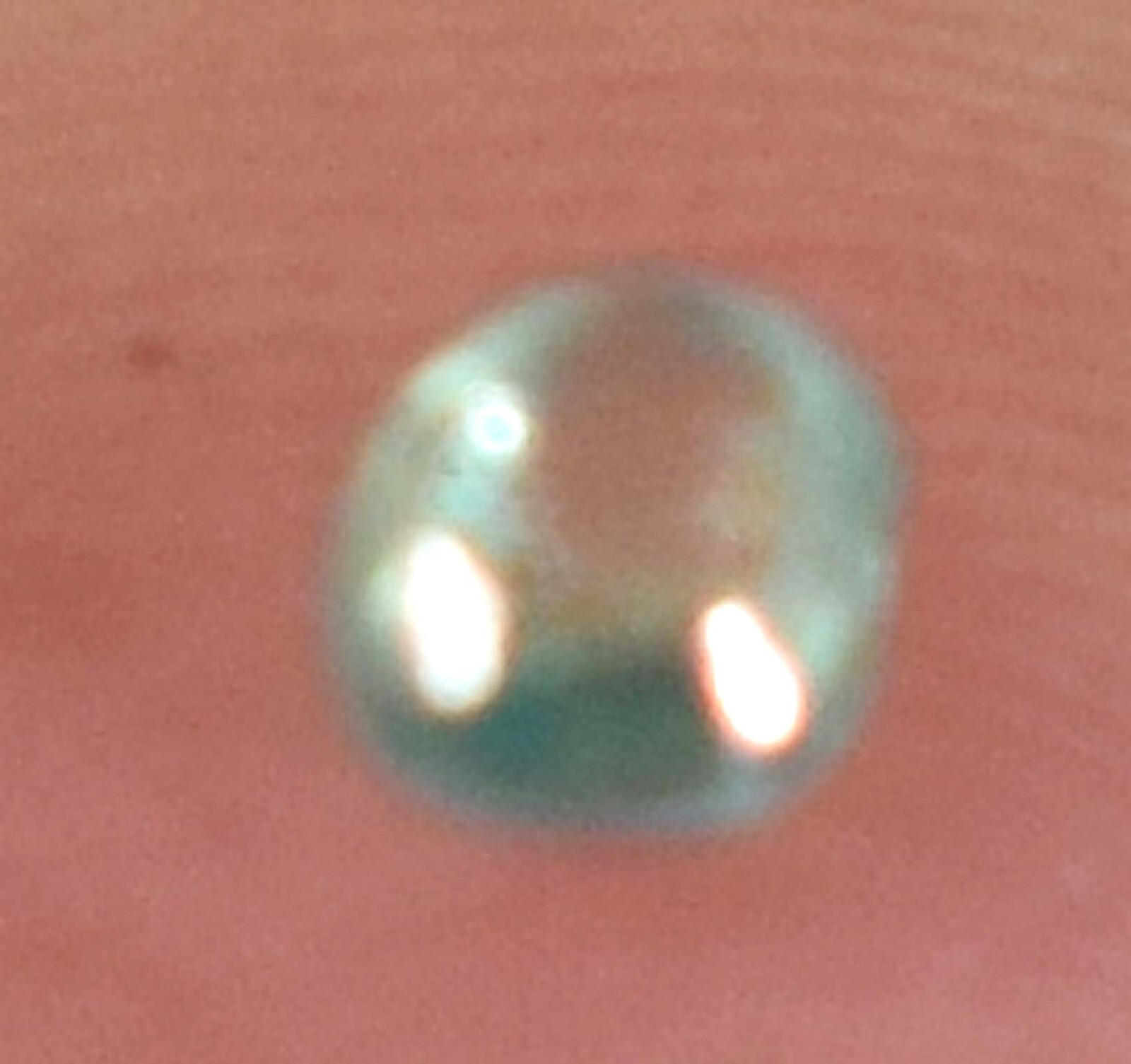 Picture 4 of 10