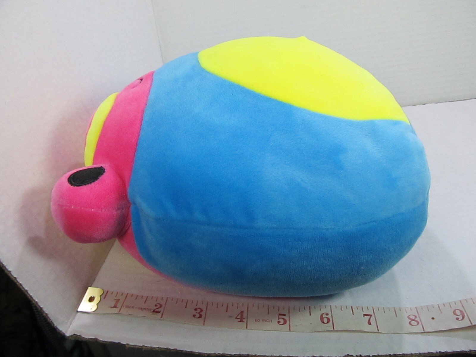 Picture 6 of 6