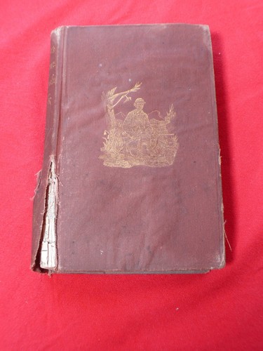 1874 ABENTEUER IN DER WILDNIS Lagerleben Adirondacks von William Murray