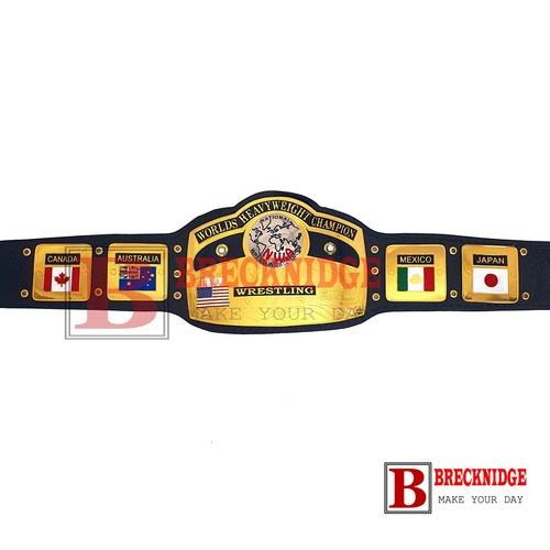 NWA World Heavyweight Championship Replica Belt Title 2mm Brass Metal plates - Picture 5 of 12