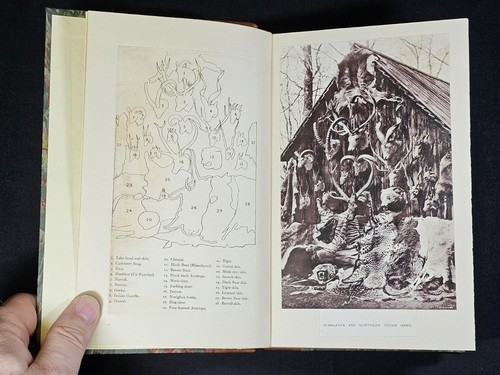 1891 Hindu-Koh: Wanderings and Wild Sport on and beyond the Himalayas Macintyre - Picture 11 of 13