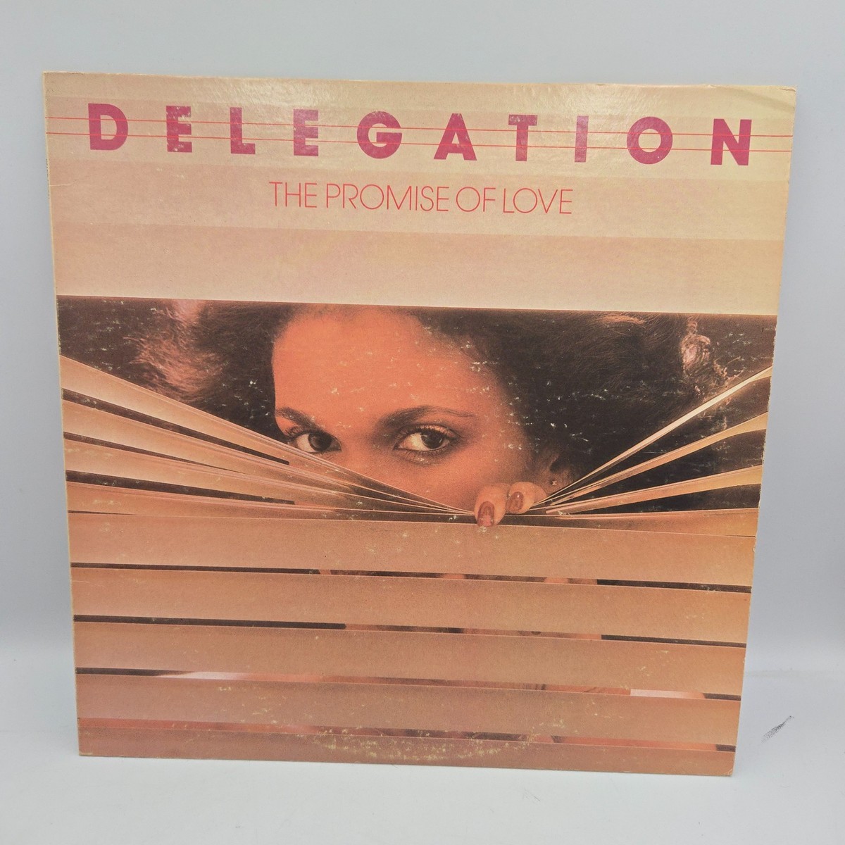 洋楽 Delegation / Delegation LP Delegation – Delegation – Vinyl (LP, Album, Stereo), 1980