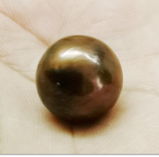 Huge 15mm South Sea Genuine Chocolate Round Loose Pearl Undrilled Jewelry 119