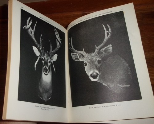 THE ARCHER'S BIBLE-Guide to the Sport of Archery-FRED BEAR-Very Good 1968 RARE! - Picture 10 of 11