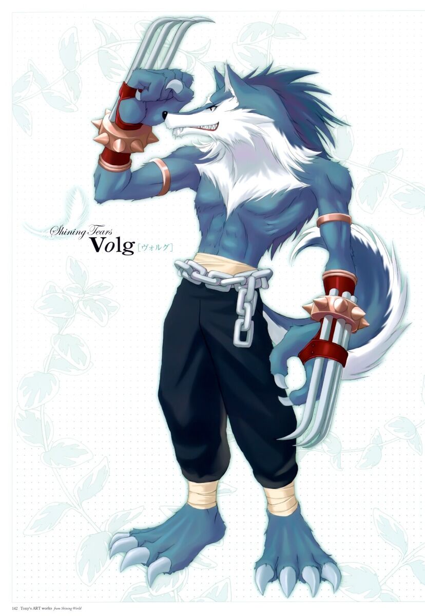Tony's Artworks From Shining World illustrations book