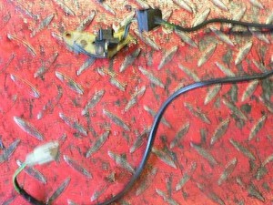 94-Suzuki-RF900R-Pulse-Spark-Generator