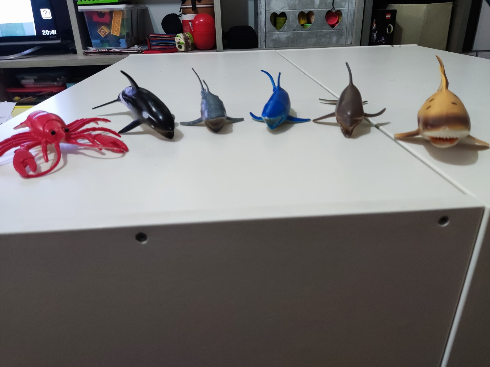 Lotto 6 Animali marini Giocattoli in plastica.