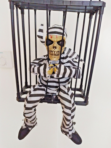 Beetlejuice Scary Halloween Decorations Motion Sensor Pirate - Picture 2 of 5