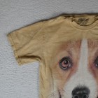 Picture 3 of 17