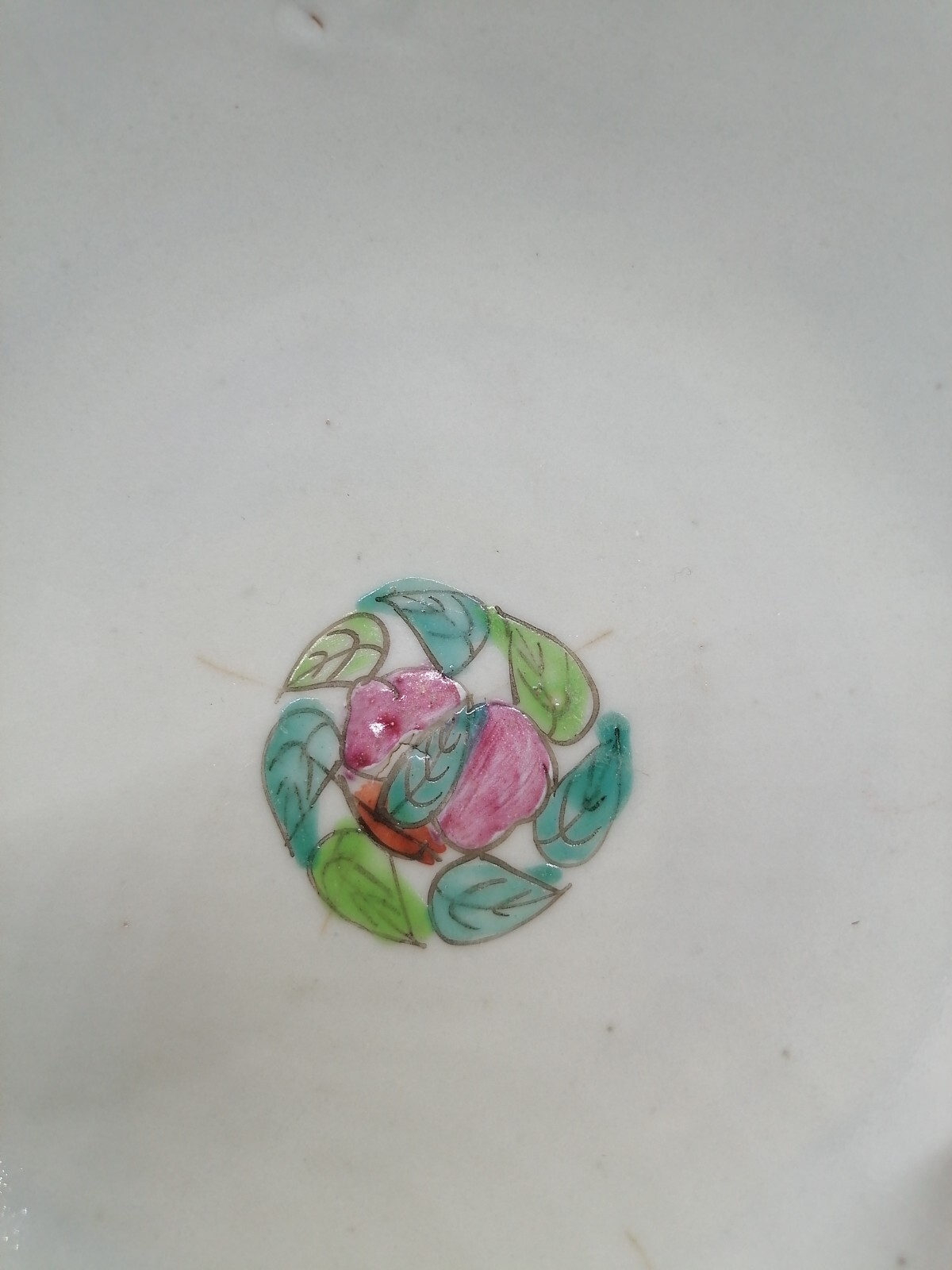 Picture 16 of 24