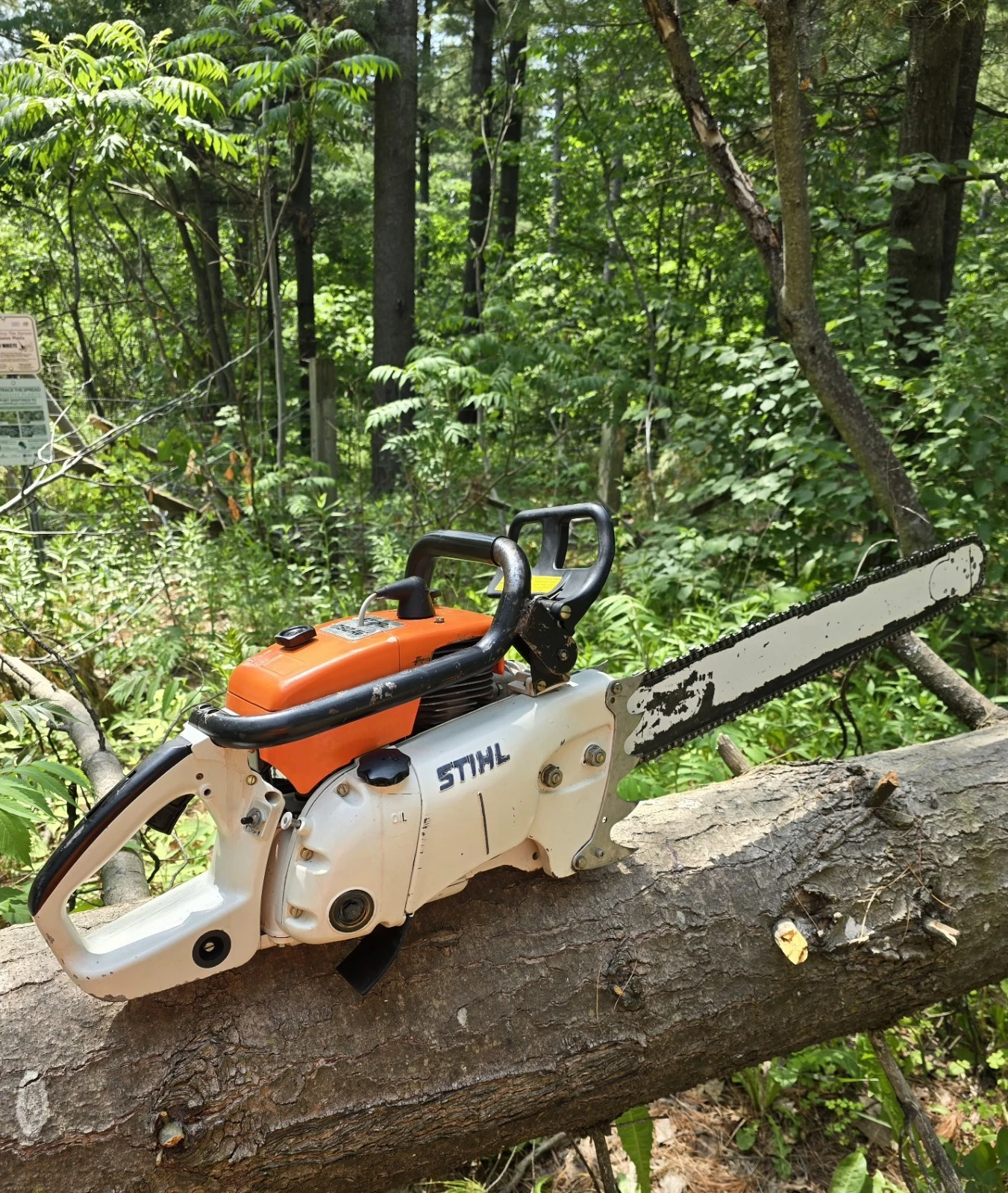 Picture 4 of 7