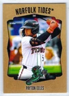 2026 Norfolk Tides (Triple-A Baltimore Orioles) Payton Eeles