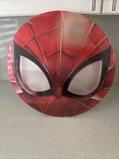 Spider-Man 18x18 Round Hang Wall Custom Portrait
